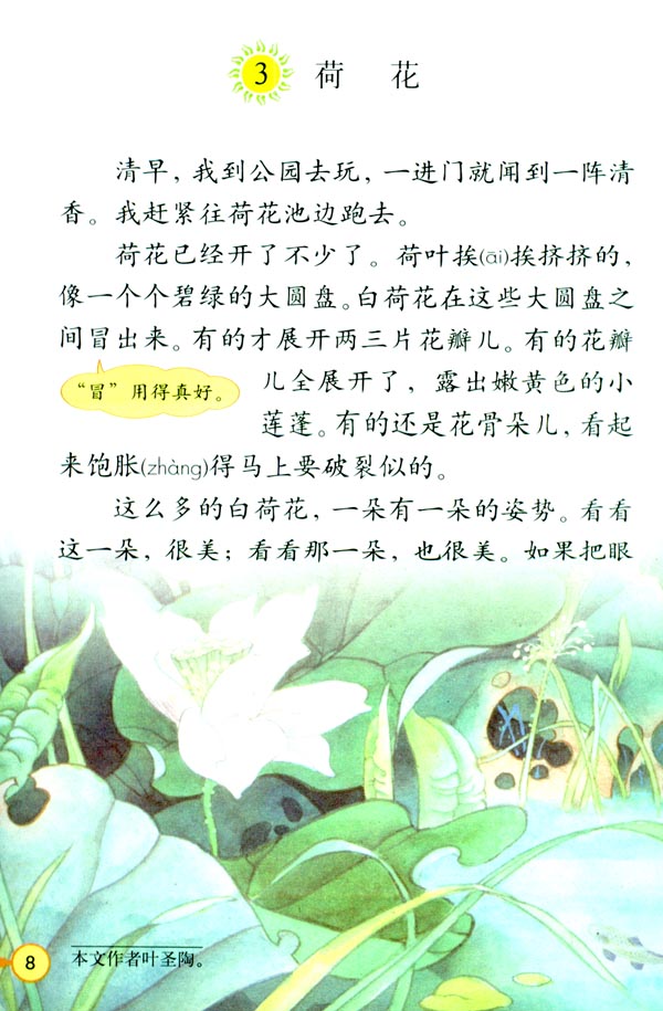 3.荷花  课文学习