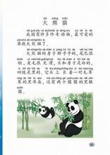 《大熊猫》教案（2）