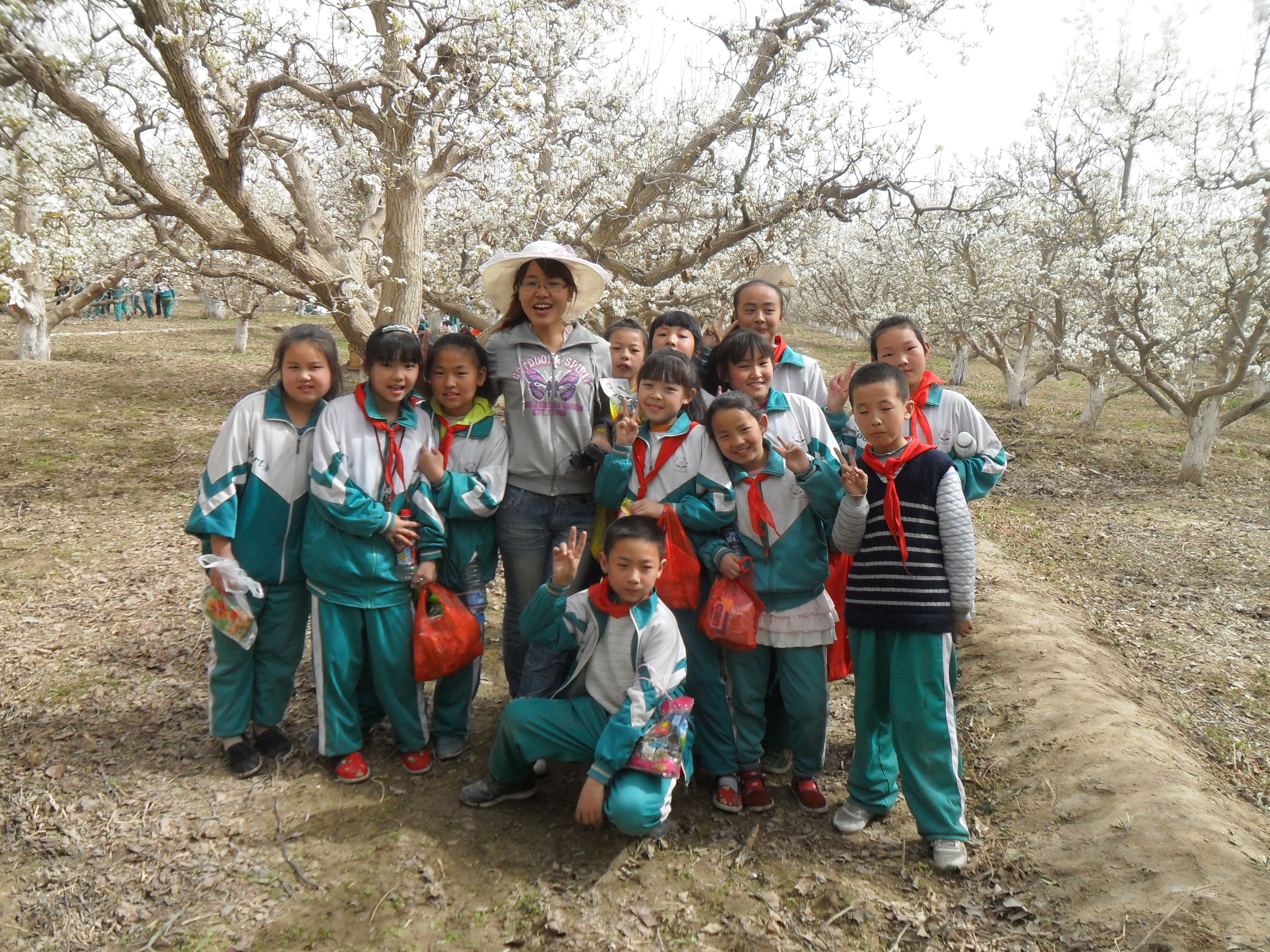 新疆农二师31团王晶  四年级下册语文《触摸春天》教学设计