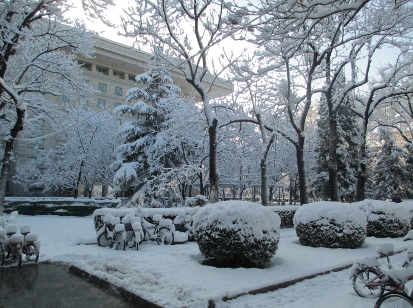 学习报告 杜国