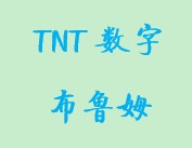 TNT小组数字布鲁姆