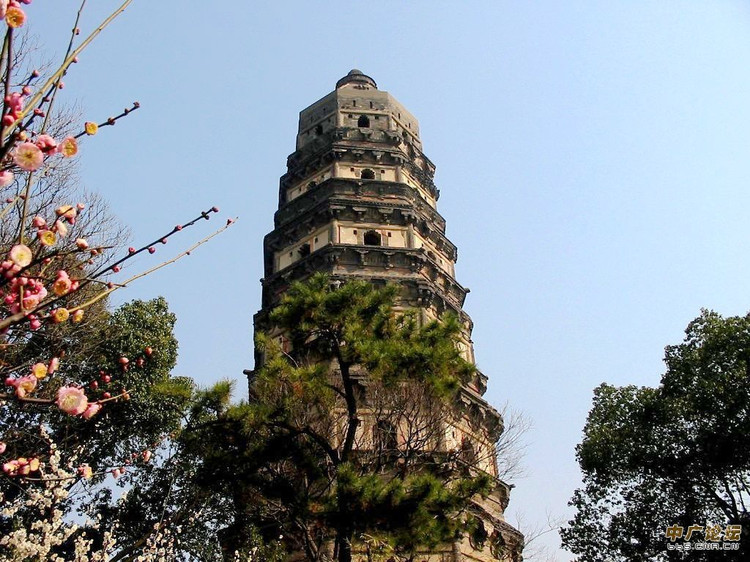 201505高梦楠学习报告